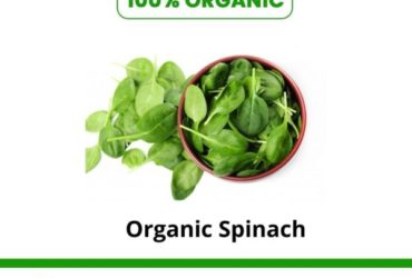 Shop Organic Spinach at Orgpick