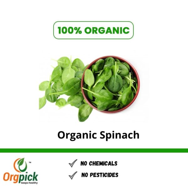 Shop Organic Spinach at Orgpick