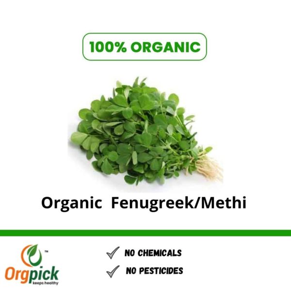 Shop Organic green & fresh fenugreek leaves online.