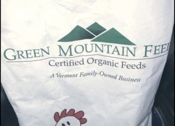 Organic Fed, Free Range Chicken Eggs