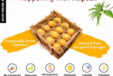 Alphonso or Hapus Mango Online at Orgpick