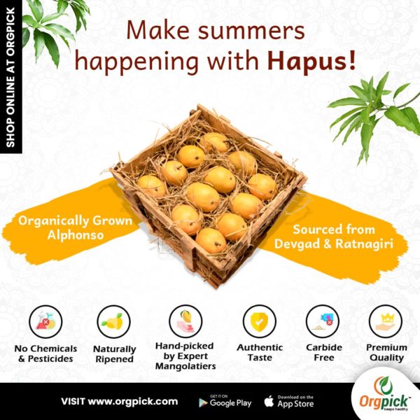 Alphonso or Hapus Mango Online at Orgpick