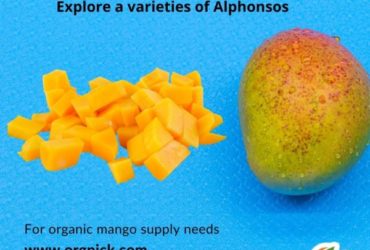 Alphonso Mango Online