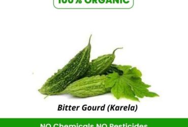 Get the amazing health benefits of Bitter Gourd.