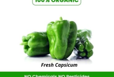 Buy Organic Green Capsicum Online