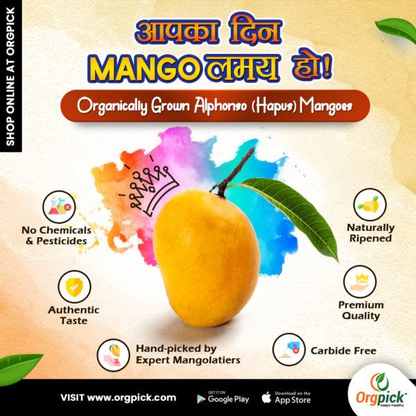 Buy Hapus Mangoes Online