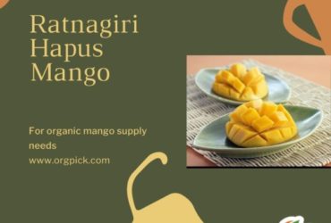 Order Mangoes Online