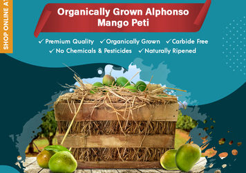 Buy Organically Grown Alphonso Mango peti online