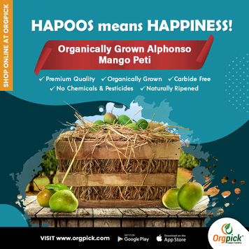 Buy Organically Grown Alphonso Mango peti online