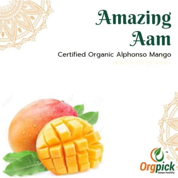 Certified Organic Alphonso Mangoes