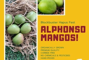 Organically Grown Hapus Aam Peti Online