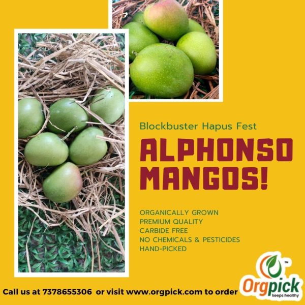 Organically Grown Hapus Aam Peti Online