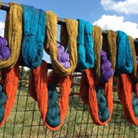 Yarn & Fiber Hand Dyeing Retreat