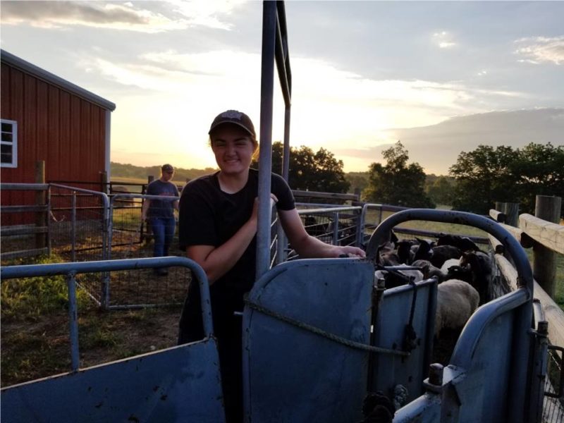 Heart of the Shepherd's Intern / Apprentice Program at Shepherd's Cross