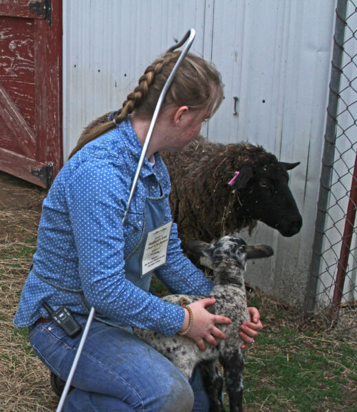 Small Ruminant Animal Husbandry & Herd Health Class