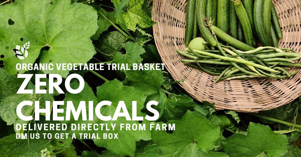 ResponsiblyGrown:  Buy Organic Vegetables Online