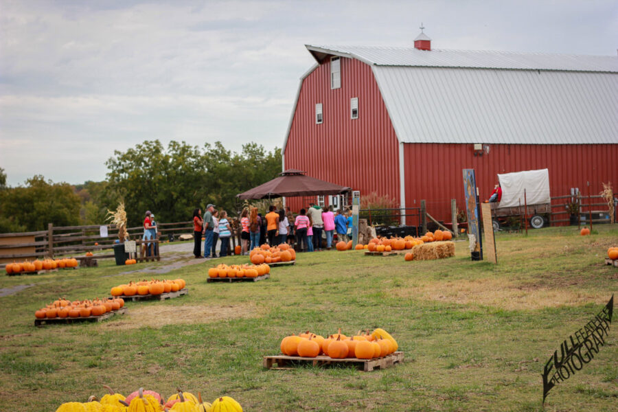 Pumpkin Festival at Shepherd's Cross