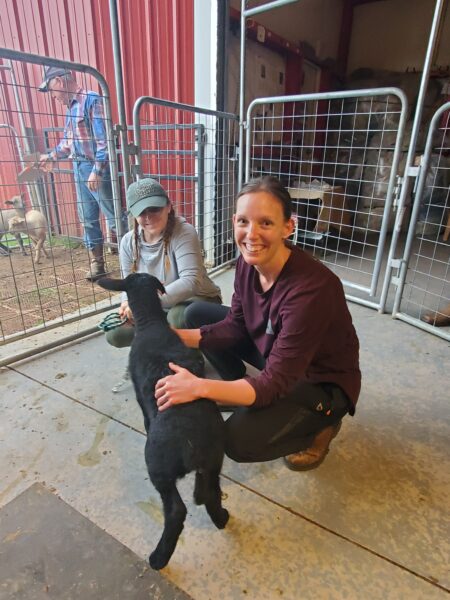 Sheep, Goats, and Small Ruminants Animal Husbandry Class