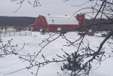 Winter Barn Sale – Garage Sale