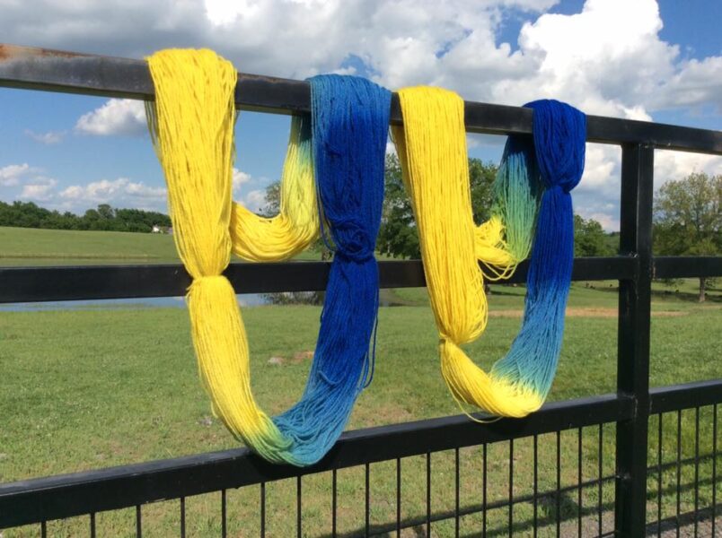 Hand Dyeing Yarn Day Retreat