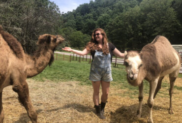 Help Wanted: Camel Caretaker and Camel Sitter