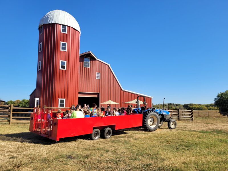 Pumpkin Festival at Shepherd's Cross & Heart of the Shepherd