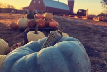 Pumpkin Festival at Shepherd's Cross & Heart of the Shepherd