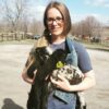 Spring Internship at Shepherd's Cross