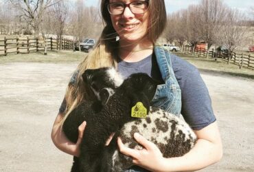 Spring Internship at Shepherd's Cross