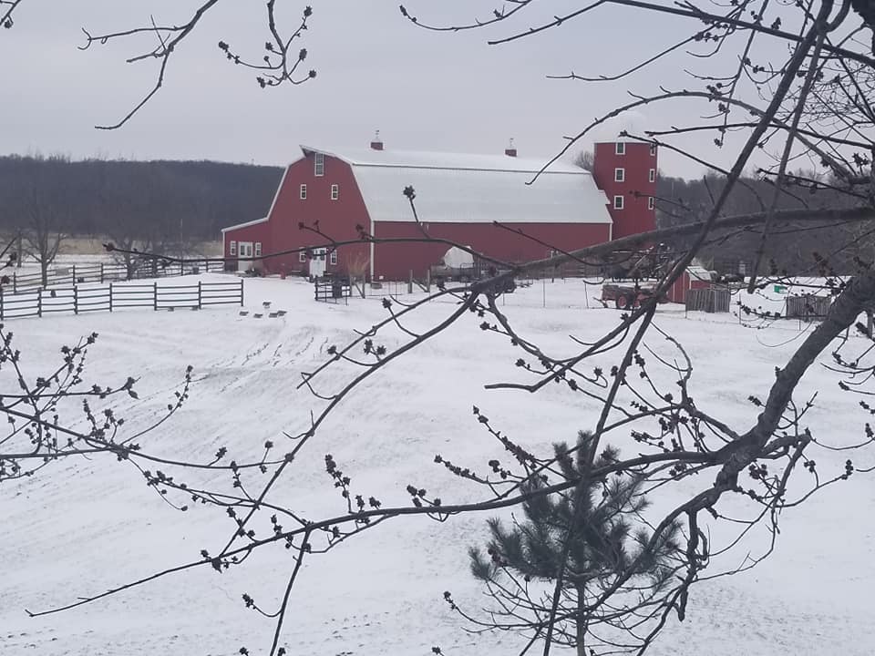 Winter Barn Sale