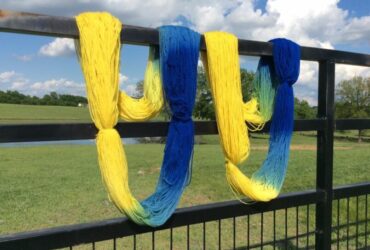 Hand Dyeing Yarn Day Retreat