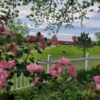 Summer Barn Sale & Plant Swap
