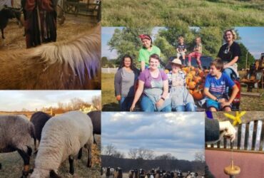 Fall Internship Program