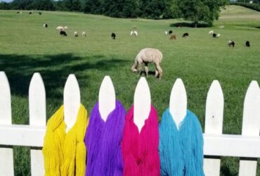 Summer Yarn Event