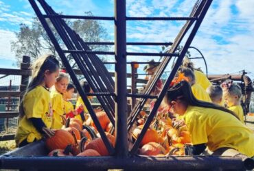 Pumpkin Festival at Shepherd's Cross