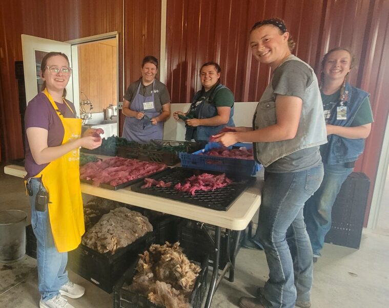 Fiber Fest Weekend Retreat