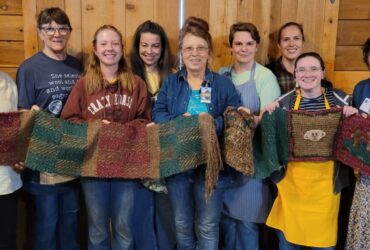 Woolly Weekend at Shepherd's Cross