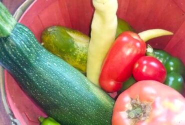 Shepherd's Cross to Celebrate National Farmer's Market Week