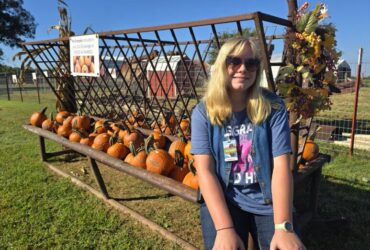 Fall Intern/Apprentice Program at Shepherd's Cross