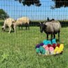Summer Yarn Event at Shepherd's Cross
