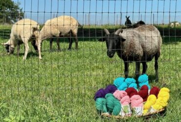 Summer Yarn Event at Shepherd's Cross