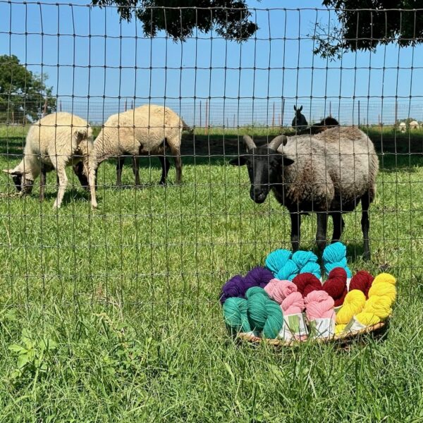 Summer Yarn Event at Shepherd's Cross