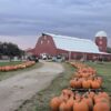 Fall Pumpkin Festival at Shepherd's Cross