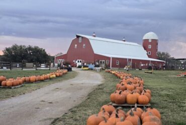 Fall Pumpkin Festival at Shepherd's Cross
